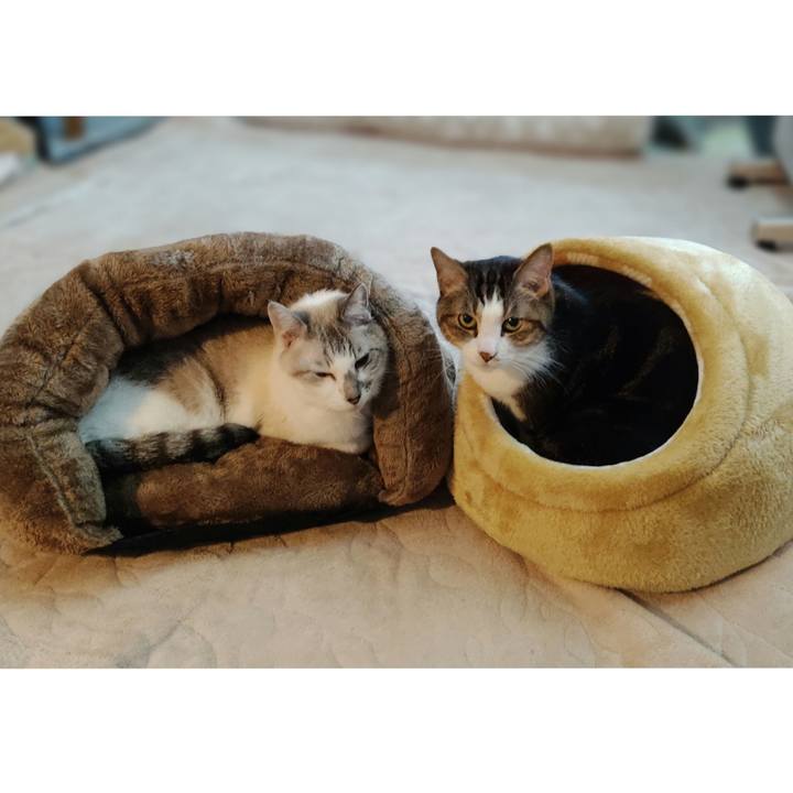 3d7d77e0 e773 4fd3 9255 da182c36e2a0 1640643689629