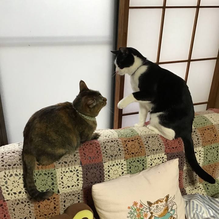 3d7d9d84 fa5f 497a b6e6 1564de43cc87 1644711261625