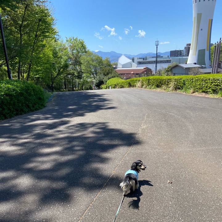 3d7da8f8 a925 4398 ac8f 1cbd4712bc33 1744782054630