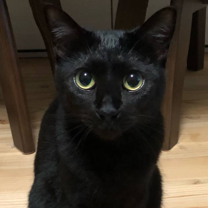 3d7dc399 11b1 4515 8a1c f11180b7f4b9 1695804528034