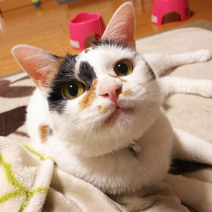 3d7de633 f684 4c4a 8b46 73eb8db2f1ae 1575547024145