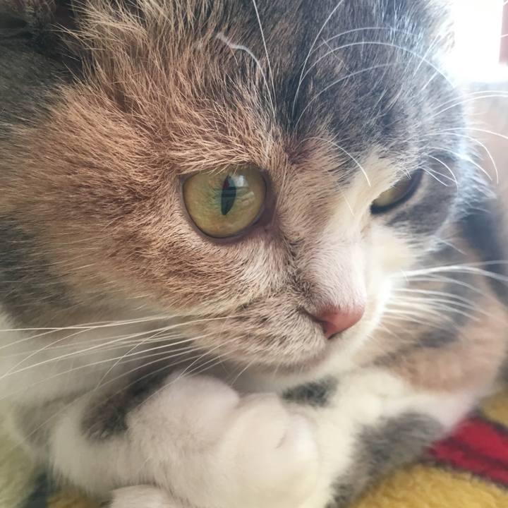 3d7de940 b88e 460a 8576 0774026b09fd 1538136939401