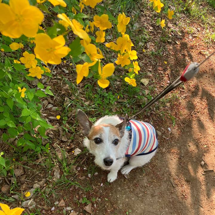 3d7e6896 d432 4ebc 8395 1a4ee58c9069 1681083416694