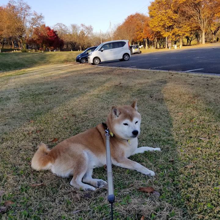 3d7e6e02 6b6f 458f a8a9 e39d284f0319 1667803635681