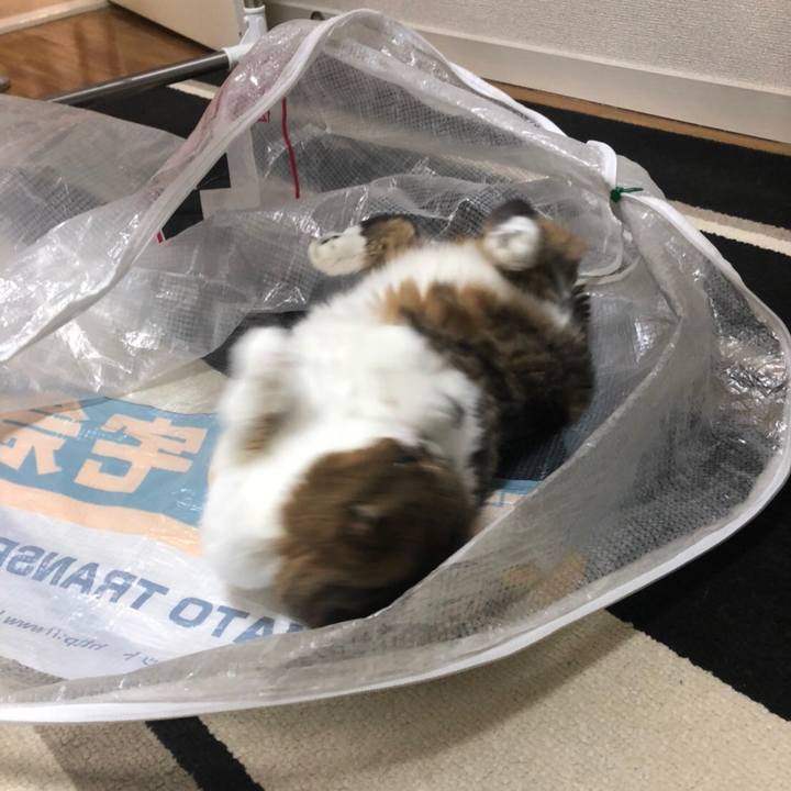 3d7eaede 4cbe 4d4e b140 ac9ee06052a2 1540734421391