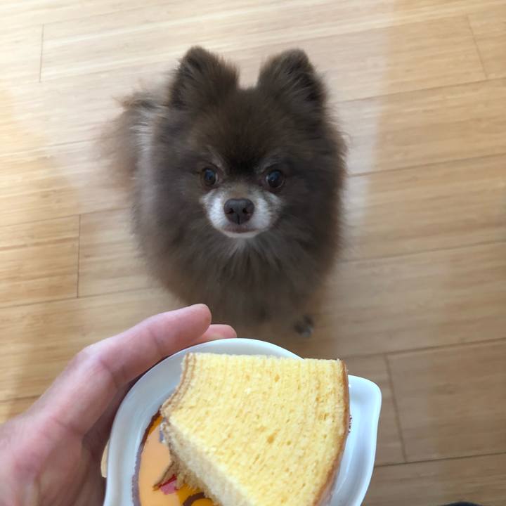 3d7f1da0 eb6d 4ff1 9b2d b64f83d1ba33 1562983408538