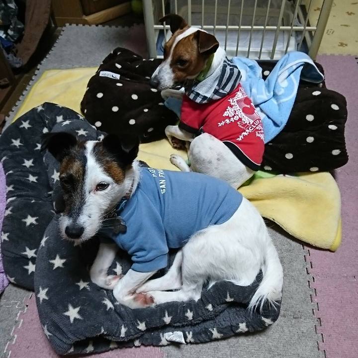 3d7f2813 3692 44a2 b2e2 44f3308e5844 1556363872513