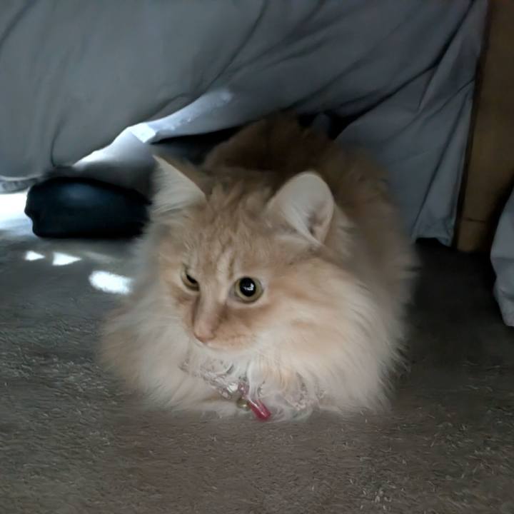 3d7f590f 983d 49ad 8314 11c5e5b16c9c 1774490866879