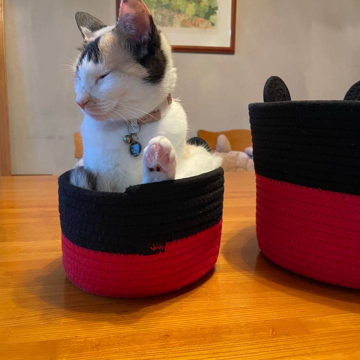 3d7f752c 299f 4a87 9fcf b9cd4bd3411b 1739777324118