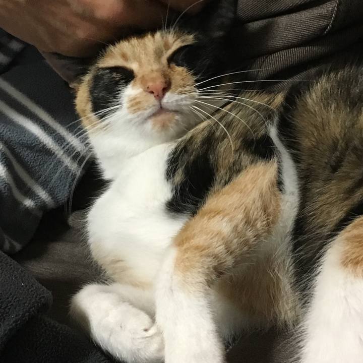 3d7fbe7a 6f22 4674 a59c de41229c0a70 1510237407226