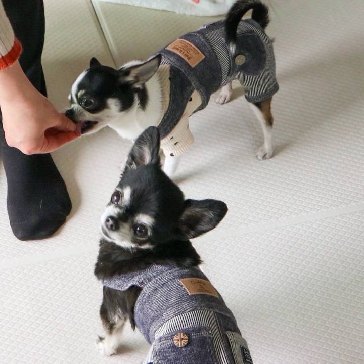 3d7ff162 74c5 485e b31d 41bf5aa01176 1774342512329