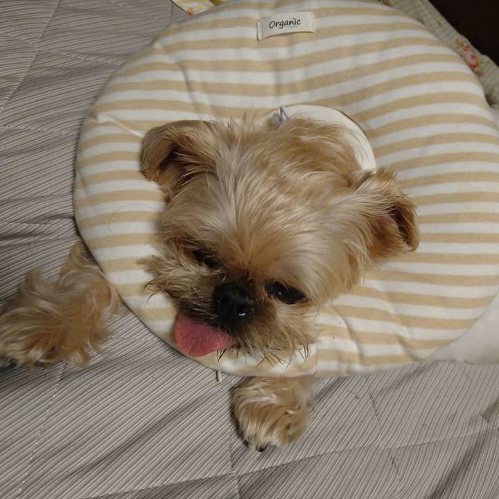 3d7ff3f6 e82b 4e37 b5fa 91c6f300b9d2 1659882355348