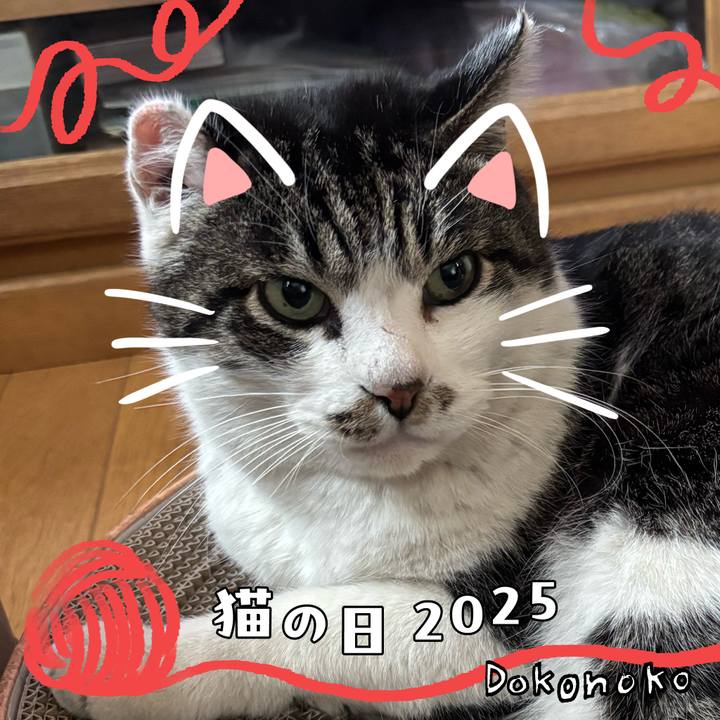 3d800ac5 bff5 4365 9d2e d32d6d54a1f3 1740209768544