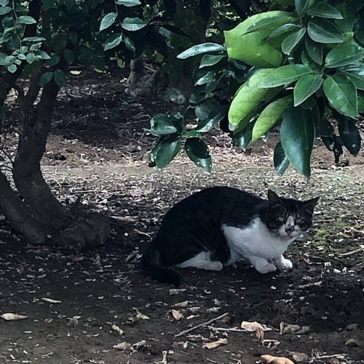 3d803ae4 0220 4c7f a0bd fcdf8d3abc06 1565835722601