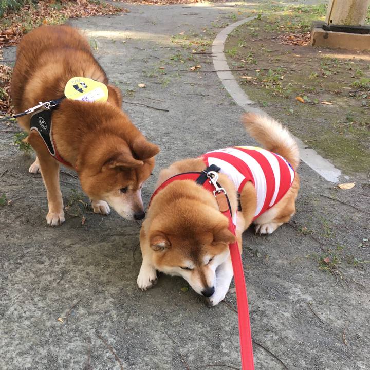 3d80486c bc23 4adf 978c 769813145dc9 1606545611226