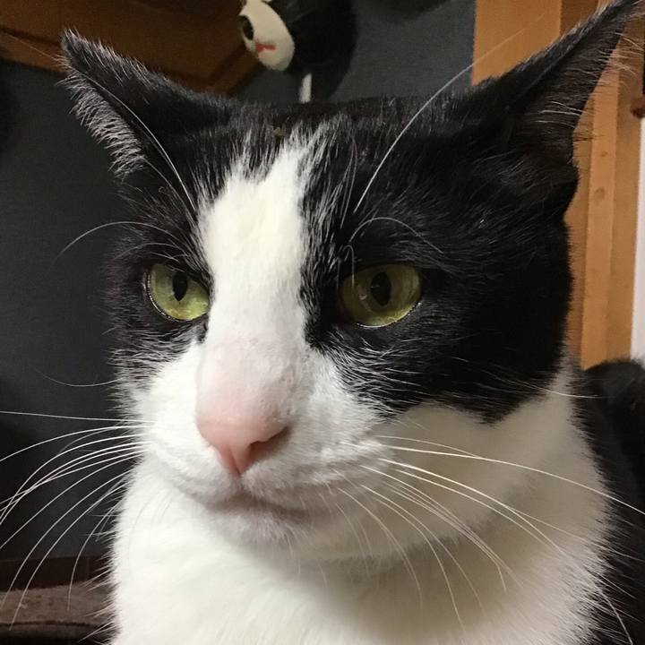 3d806863 da61 4709 ac4f ba792ee9318d 1715681608795