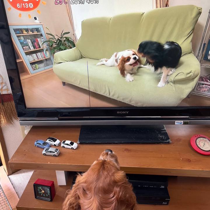 3d80a4bb 9c05 40a5 b024 b4cb2855e65e 1686629751901