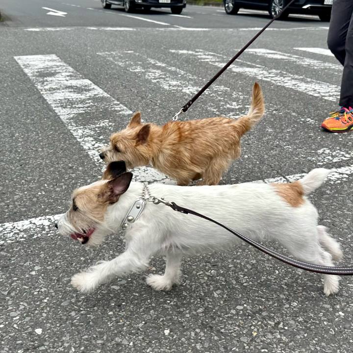 3d810ee9 8c75 45cf 95b1 e754f1423619 1718617890541