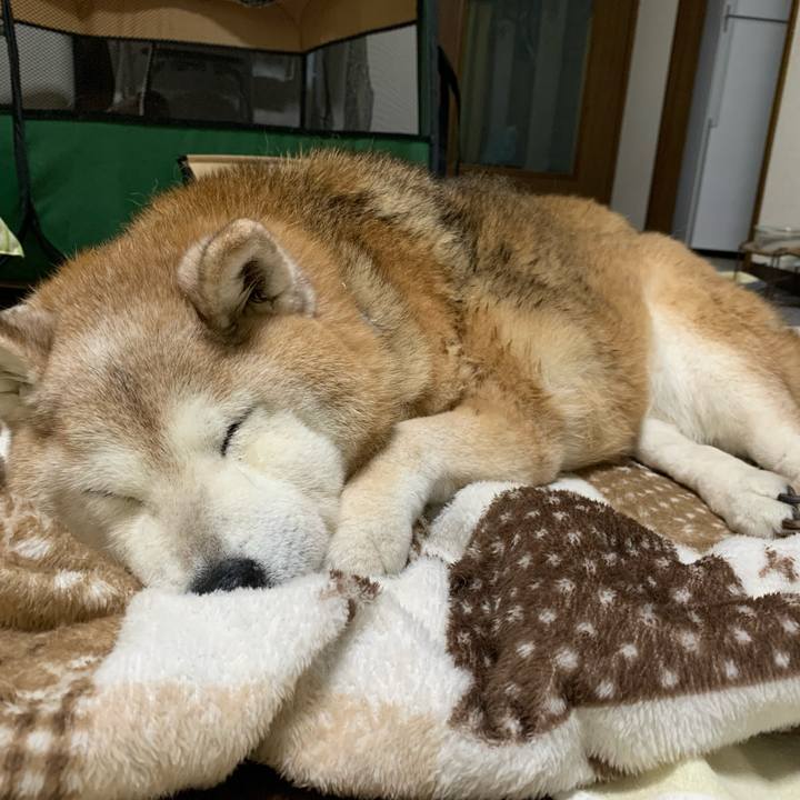 3d813409 8d92 4281 b499 f10a860d4b59 1683117601785