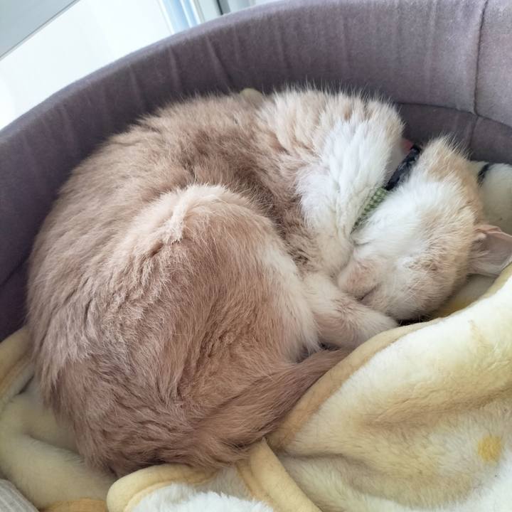 3d815b52 12ef 4d2d 8bee c5a972b339b7 1699656781145