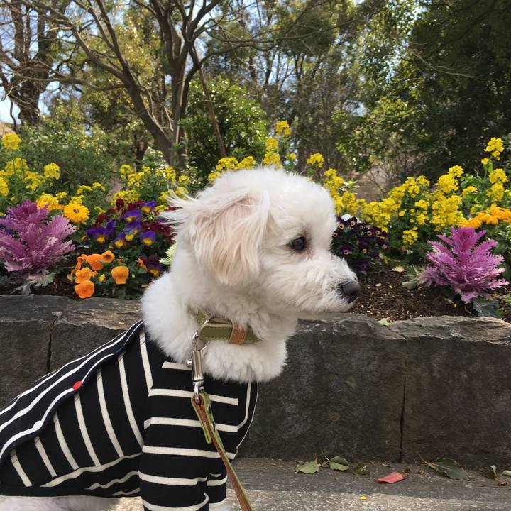 3d8164b1 58ae 4913 afcf ee32d40b484d 1552451022749