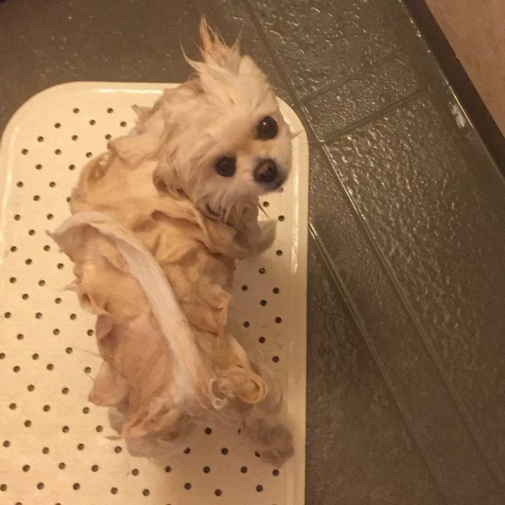 3d816a4d 1cd5 4c09 87db 6096a0f529ed 1550810074810