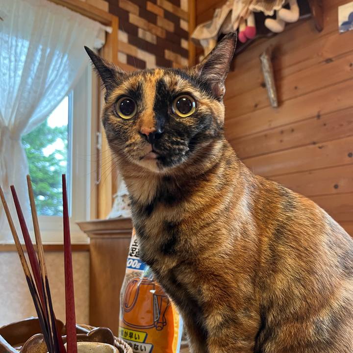 3d8183fc da3e 4f97 b318 05e838700a26 1689282454992