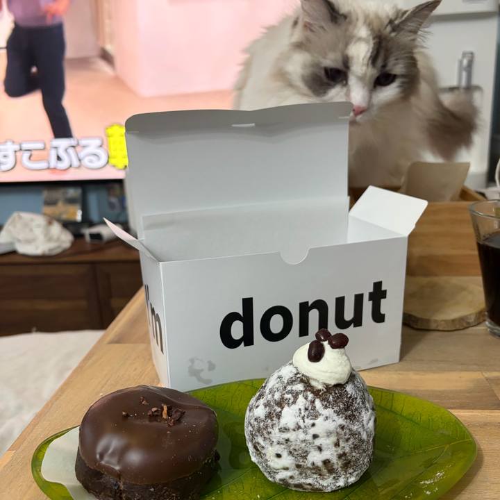 3d818756 7b12 40f9 b932 c06125518d13 1766841889206