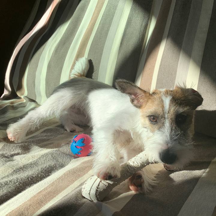 3d818a42 df03 48cb 9950 faa4f10730de 1573516976280