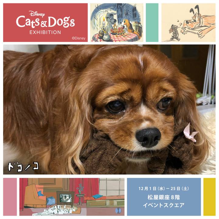 3d818dec 1f4d 482a af82 f68103c48ecc 1639001117220