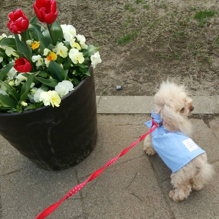 3d81a3e0 6e80 424a 8eb5 38edff0f774b 1555747999085