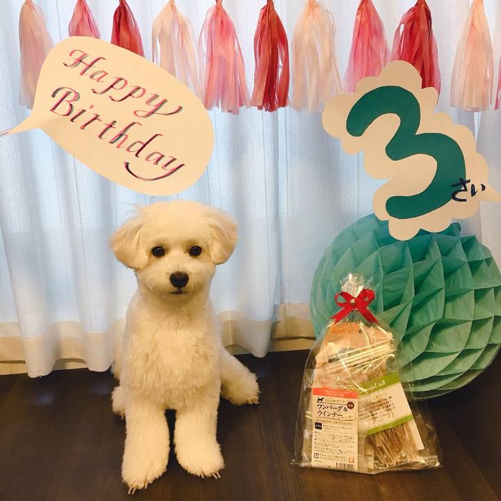 3d81a3ea 33ca 4639 b57c 8780ec44b63c 1564046038206