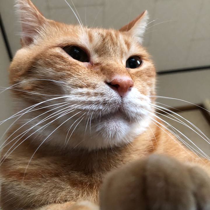 3d81b503 d9ce 4b53 892f 54f0965b3bb9 1634246981840