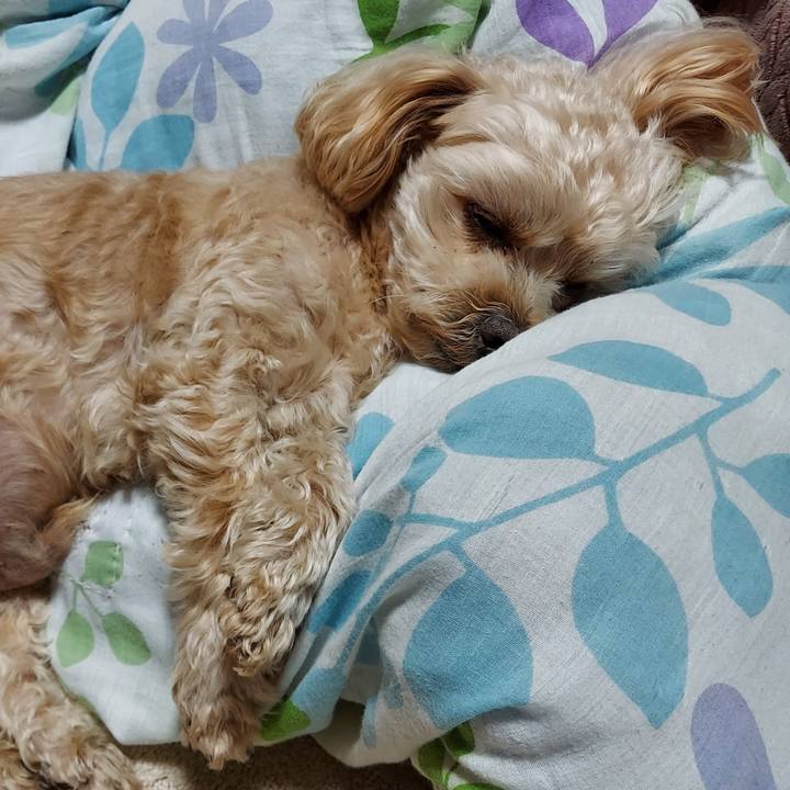 3d81b987 42dc 4a6a 94bf b90fe2e798dd 1642597596203