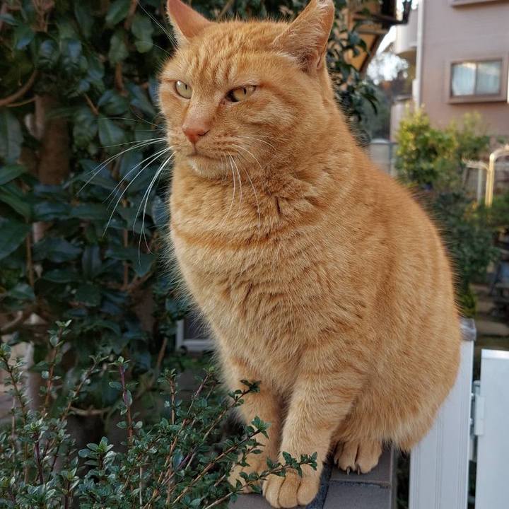 3d81f026 0699 40e5 989c b85299711311 1671190458824