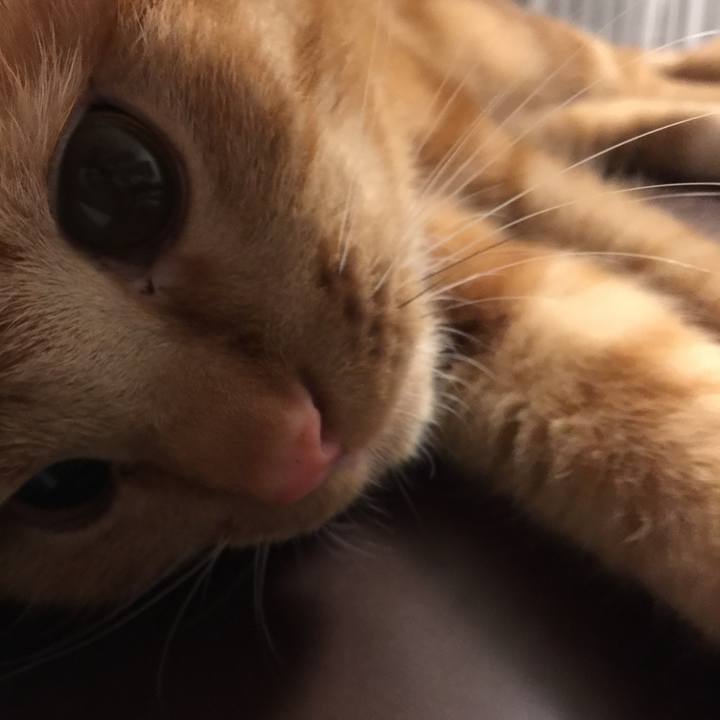 3d820005 4ceb 424d ac90 bfe2a9edfbe5 1521072974811