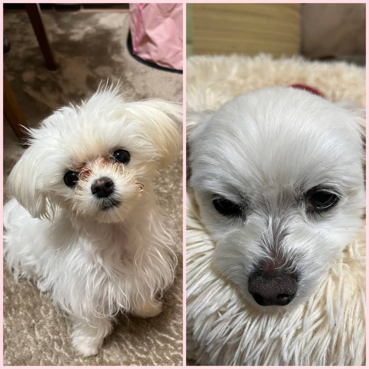 3d823c7a d7db 465d 916e 0c76a711c190 1709297943663