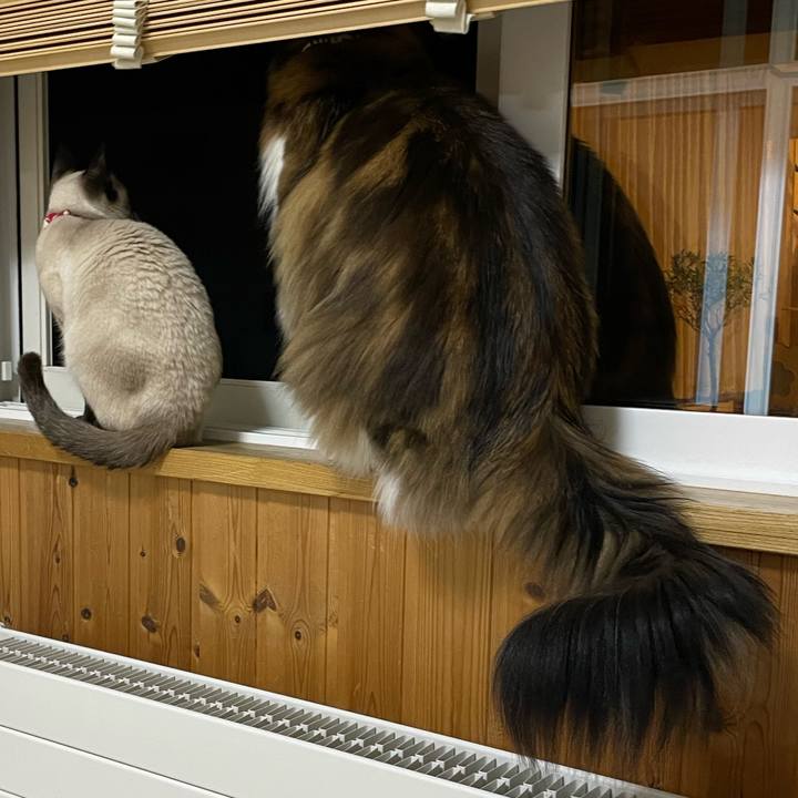 3d824617 63d3 467a 8707 cf0a1fe73e30 1705526092695