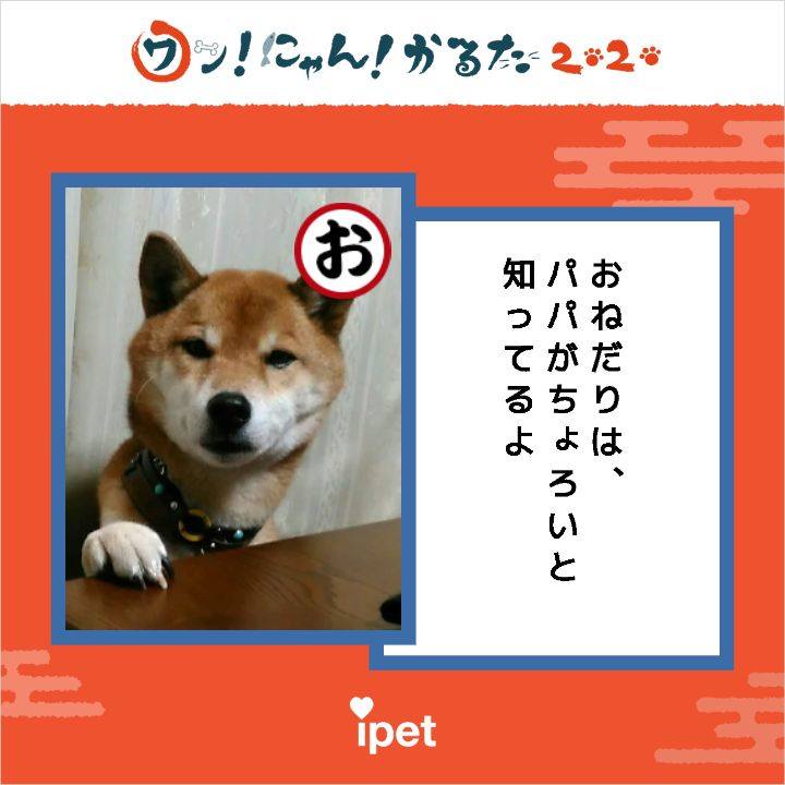 3d824827 ac68 467b af54 74579360112f 1580369995819