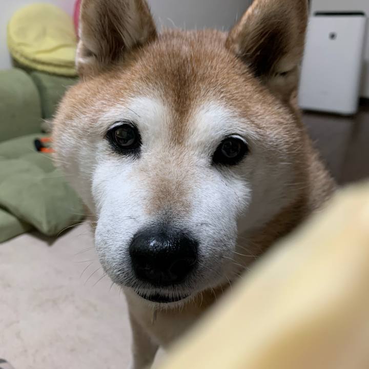 3d8254c2 28bf 4086 9462 028a60e9477c 1586435694518