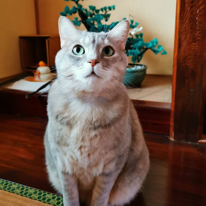 3d8268f0 5869 4d78 a7af c87a6bc669e0 1641184502542