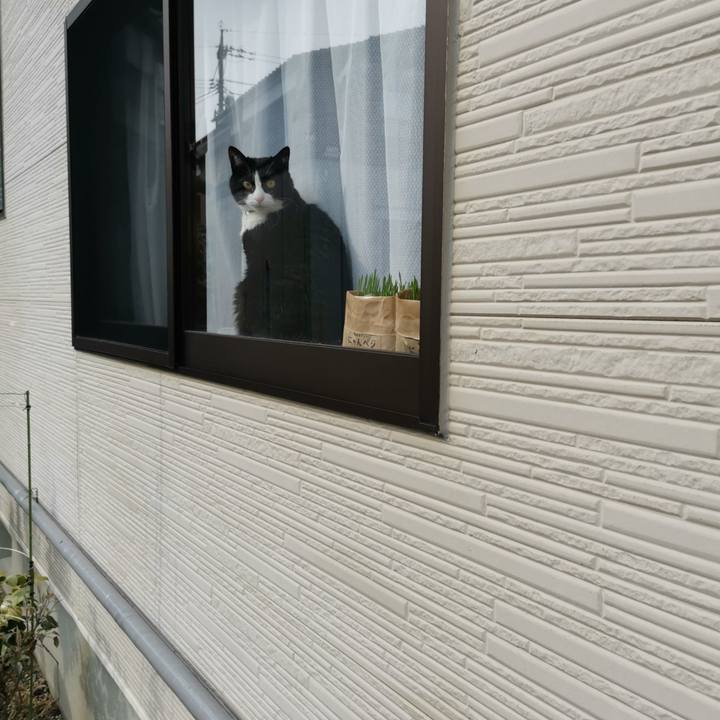 3d826dd1 674c 4c0e b6d2 5f91dd808c5f 1615092685317