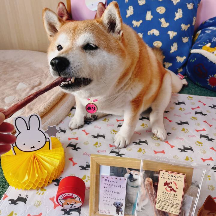 3d829700 69c1 4ea3 ab89 ba23da8954ee 1680575614276