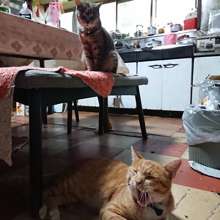 3d8297d0 aac5 4598 9502 6caf787b617c 1565643911651