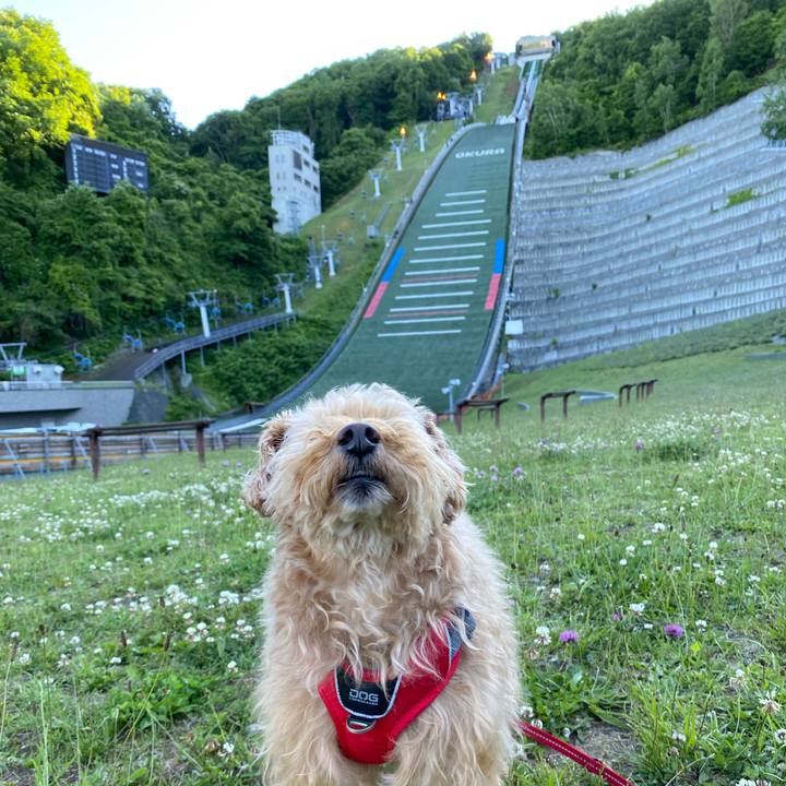 3d82dba0 ae26 4981 b582 3b992de9a929 1687167552137