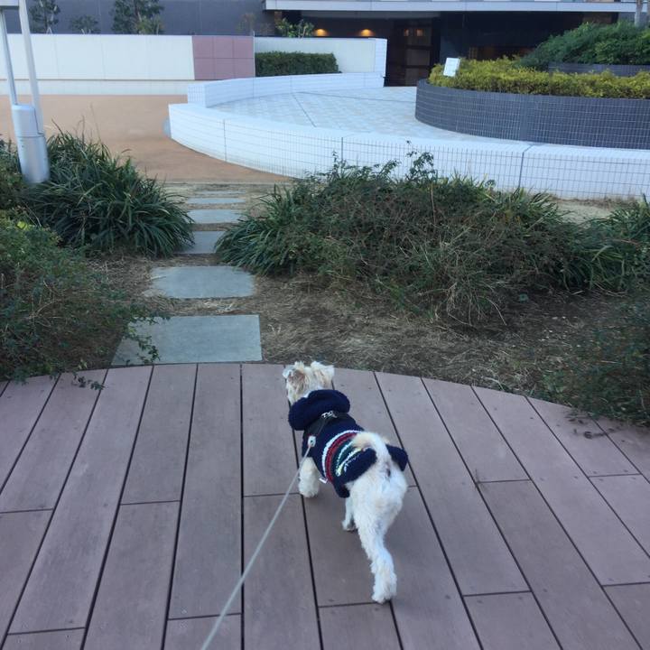 3d8321e6 0230 45e3 b261 ec09e6144865 1544853437559