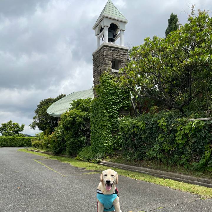 3d832746 0502 445d 9ab8 da7fff9b1d0c 1622366716388