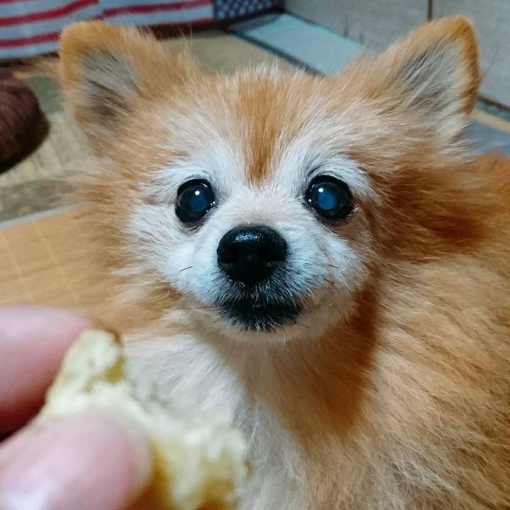 3d833629 1bd7 4907 b8cf 0e7111258125 1568888742850