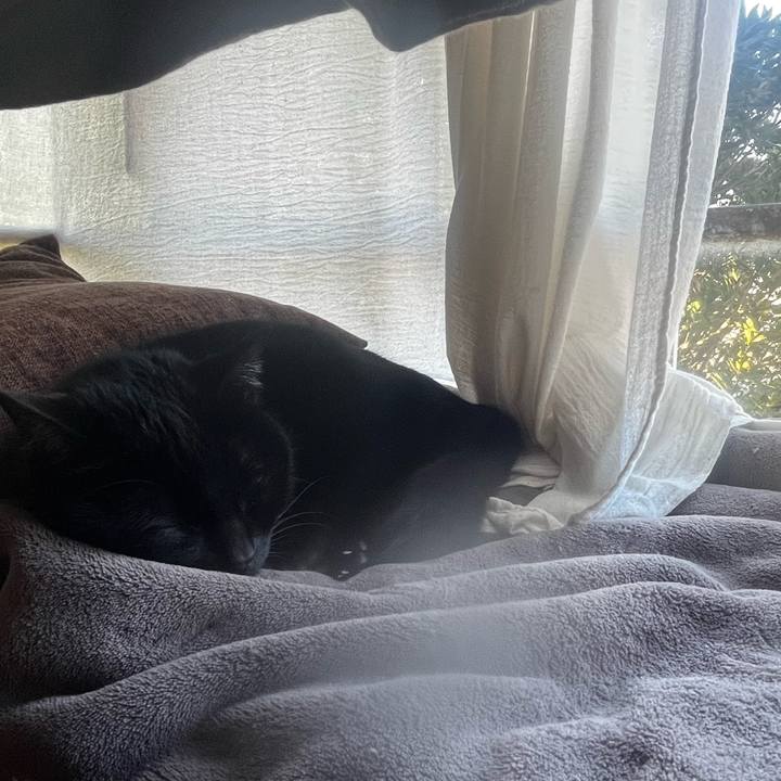 3d8356a9 cd61 40cf b40a 0a3a80cbbeb9 1765683608533