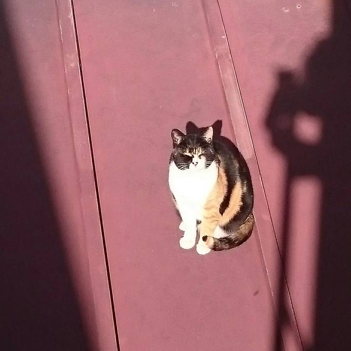 3d837d41 5ec9 46c3 b023 12d9663b5c58 1512792717676